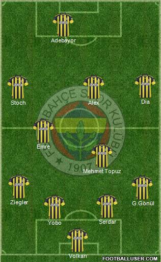 Fenerbahçe SK Formation 2011