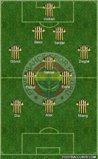Fenerbahçe SK Formation 2011