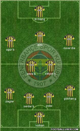 Fenerbahçe SK Formation 2011