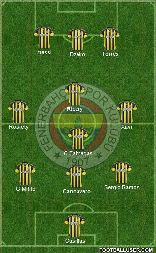 Fenerbahçe SK Formation 2011