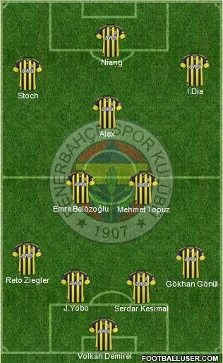 Fenerbahçe SK Formation 2011
