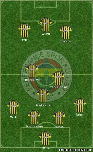 Fenerbahçe SK Formation 2011