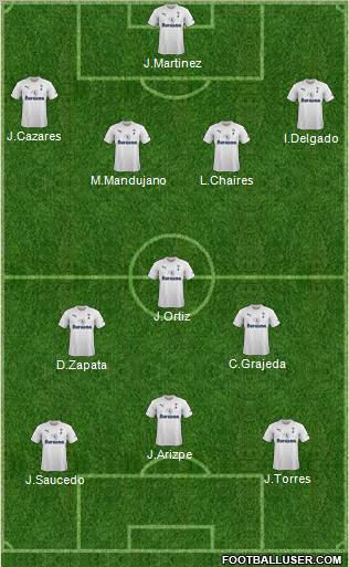 Tottenham Hotspur Formation 2011