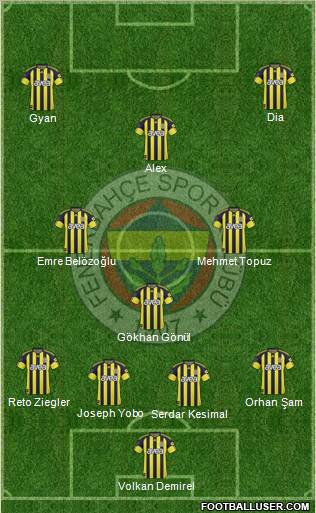 Fenerbahçe SK Formation 2011