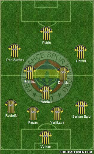 Fenerbahçe SK Formation 2011