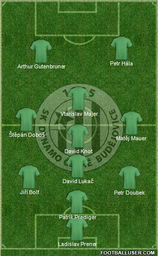 Ceske Budejovice Formation 2011