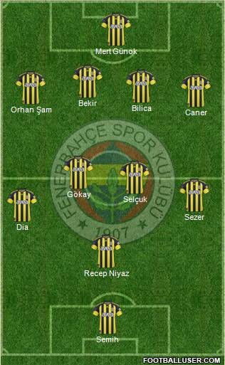 Fenerbahçe SK Formation 2011