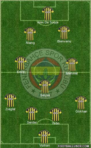 Fenerbahçe SK Formation 2011