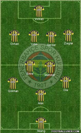 Fenerbahçe SK Formation 2011