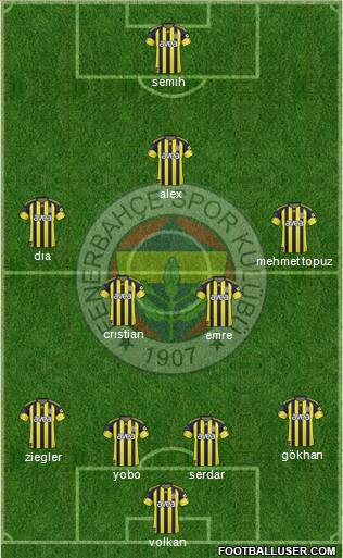Fenerbahçe SK Formation 2011
