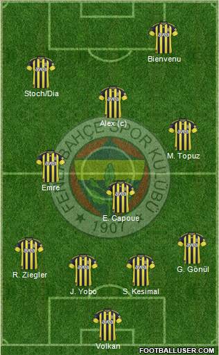 Fenerbahçe SK Formation 2011