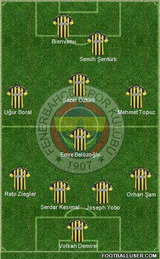Fenerbahçe SK Formation 2011