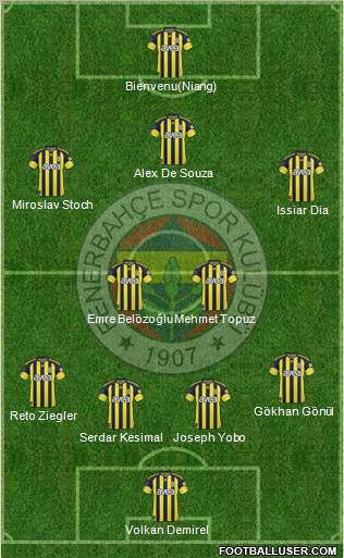 Fenerbahçe SK Formation 2011
