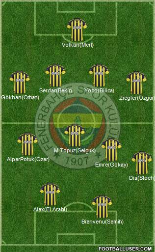 Fenerbahçe SK Formation 2011