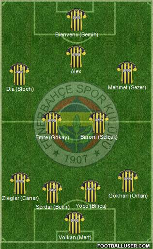 Fenerbahçe SK Formation 2011