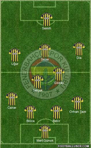 Fenerbahçe SK Formation 2011