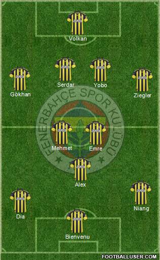Fenerbahçe SK Formation 2011