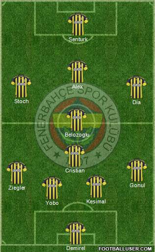 Fenerbahçe SK Formation 2011