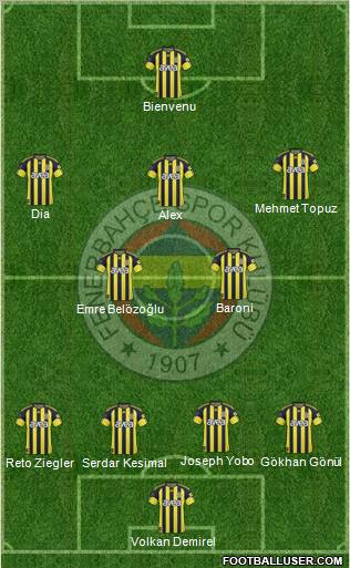 Fenerbahçe SK Formation 2011
