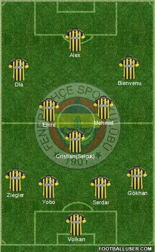 Fenerbahçe SK Formation 2011