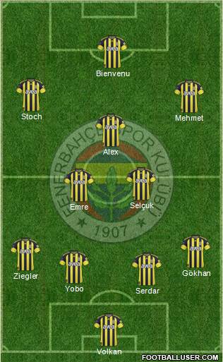Fenerbahçe SK Formation 2011