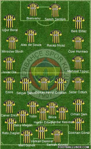 Fenerbahçe SK Formation 2011
