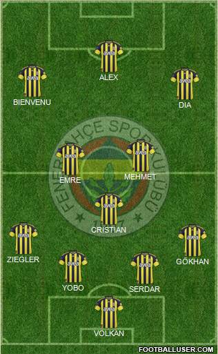 Fenerbahçe SK Formation 2011