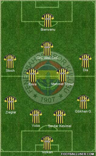 Fenerbahçe SK Formation 2011