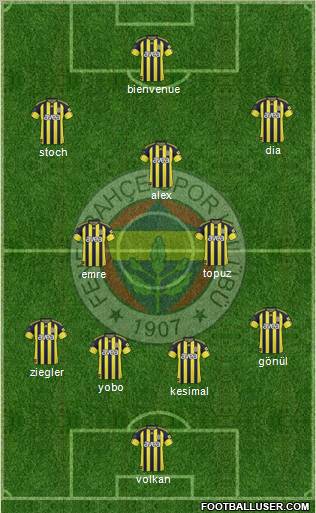 Fenerbahçe SK Formation 2011