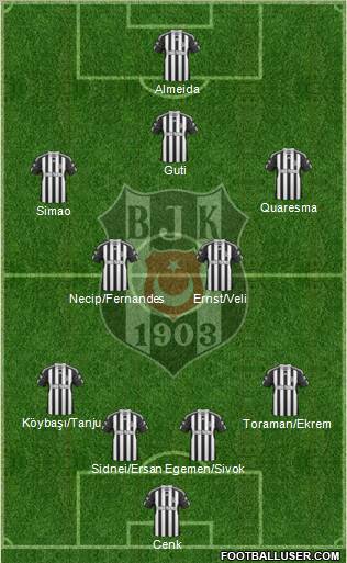 Besiktas JK Formation 2011