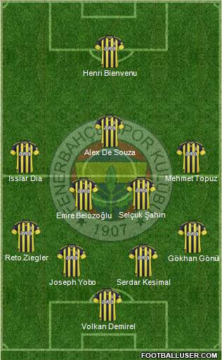 Fenerbahçe SK Formation 2011