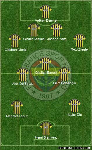 Fenerbahçe SK Formation 2011