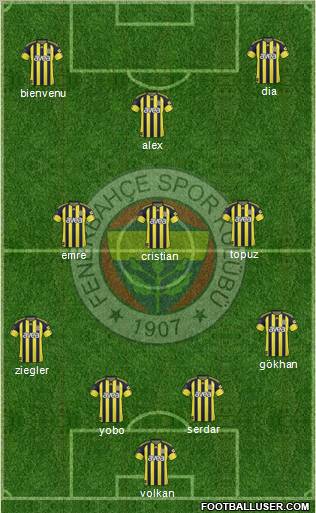 Fenerbahçe SK Formation 2011