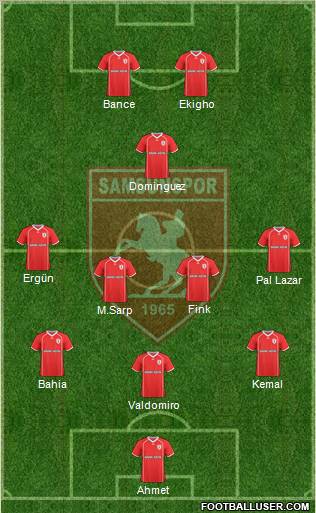 Samsunspor Formation 2011