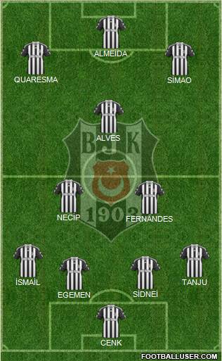 Besiktas JK Formation 2011