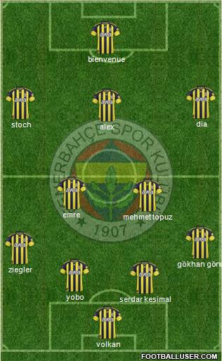Fenerbahçe SK Formation 2011