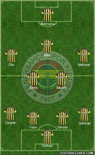 Fenerbahçe SK Formation 2011