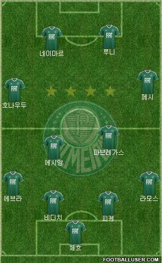 SE Palmeiras Formation 2011
