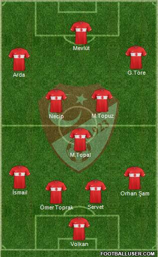 Turkey Formation 2011