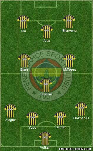 Fenerbahçe SK Formation 2011