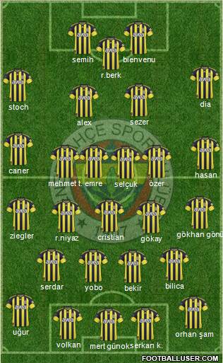 Fenerbahçe SK Formation 2011