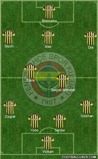 Fenerbahçe SK Formation 2011