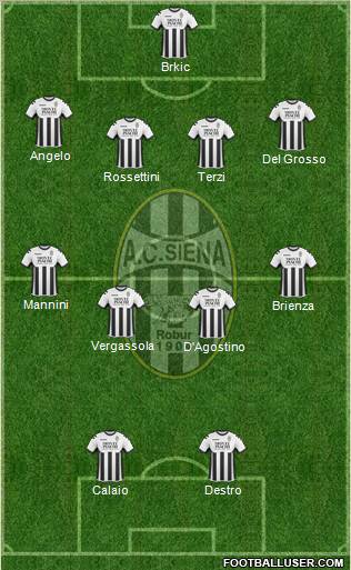 Siena Formation 2011