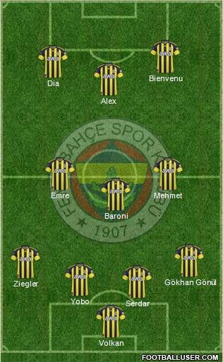 Fenerbahçe SK Formation 2011