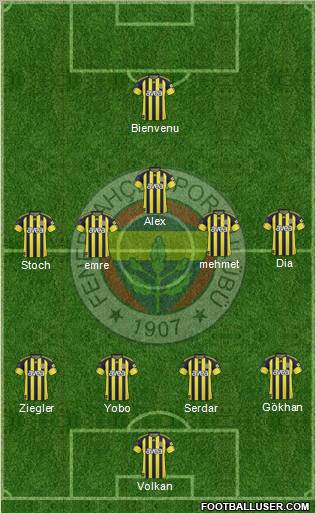 Fenerbahçe SK Formation 2011