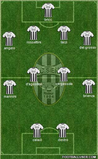 Siena Formation 2011