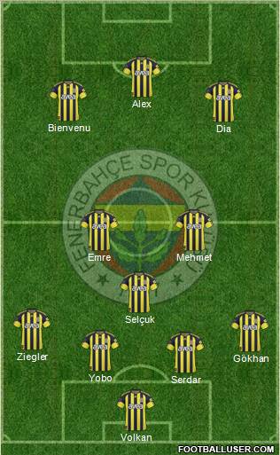 Fenerbahçe SK Formation 2011