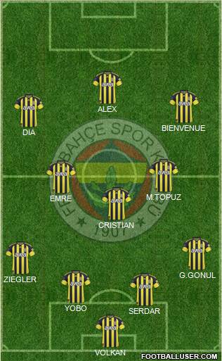 Fenerbahçe SK Formation 2011