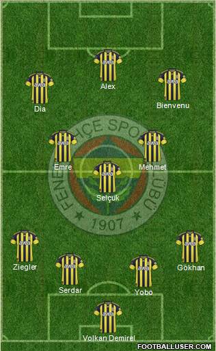 Fenerbahçe SK Formation 2011