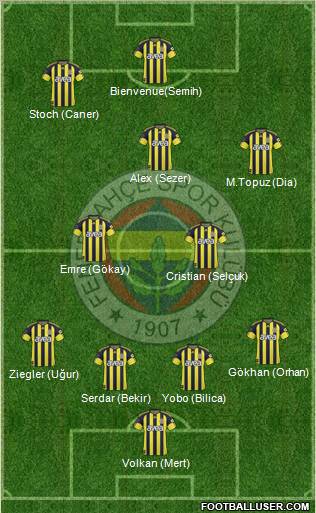 Fenerbahçe SK Formation 2011